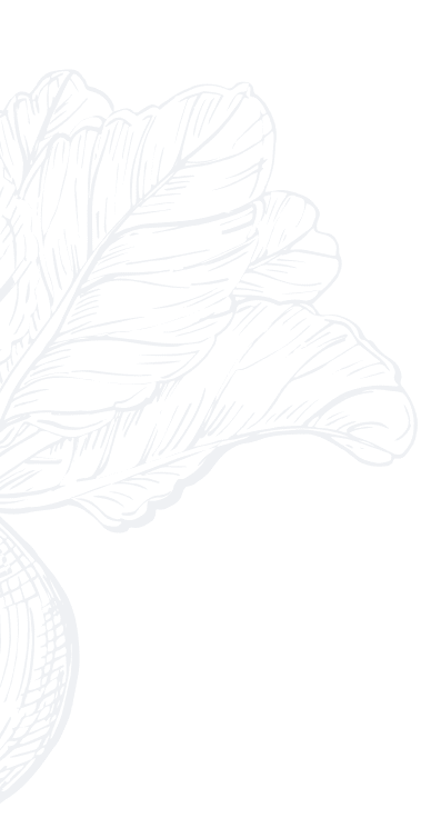 sheet